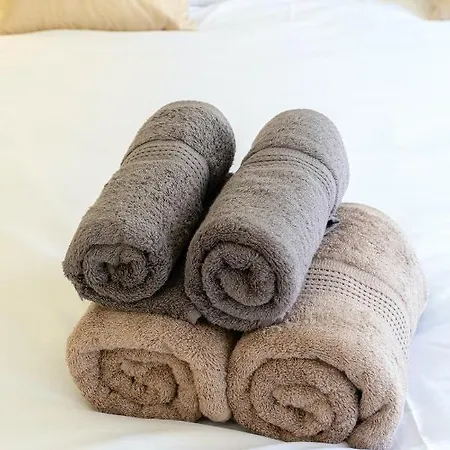 Historic Apartament *